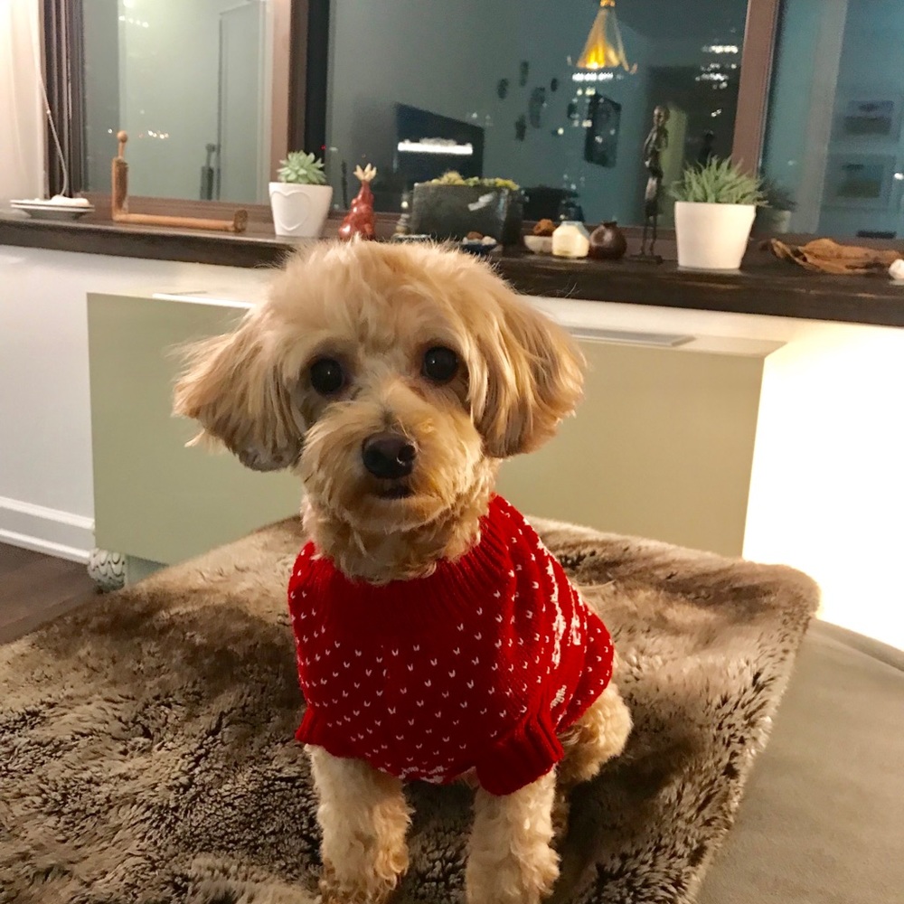 Meet your Posher, Jeff